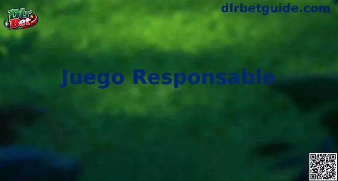 Dlr Bet Juego Responsable en México